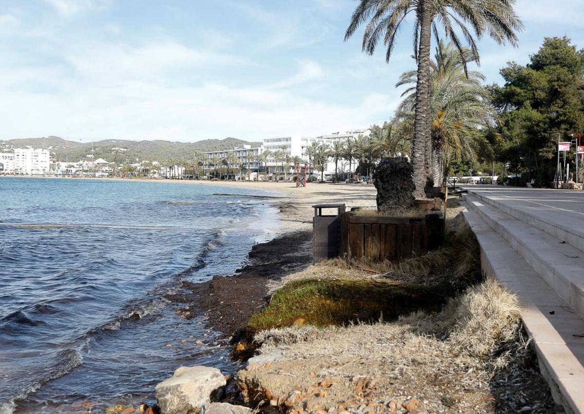 Punto en la playa de s’Arenal donde desemboca el agua de las obras del hotel. | TONI ESCOBAR