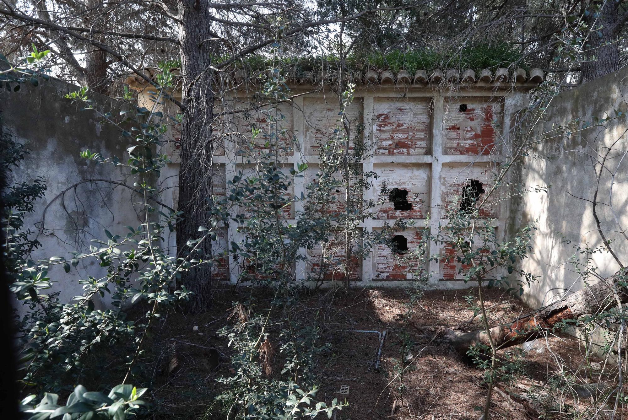 El cementerio abandonado de Moncada que te recordará a las películas de zombies