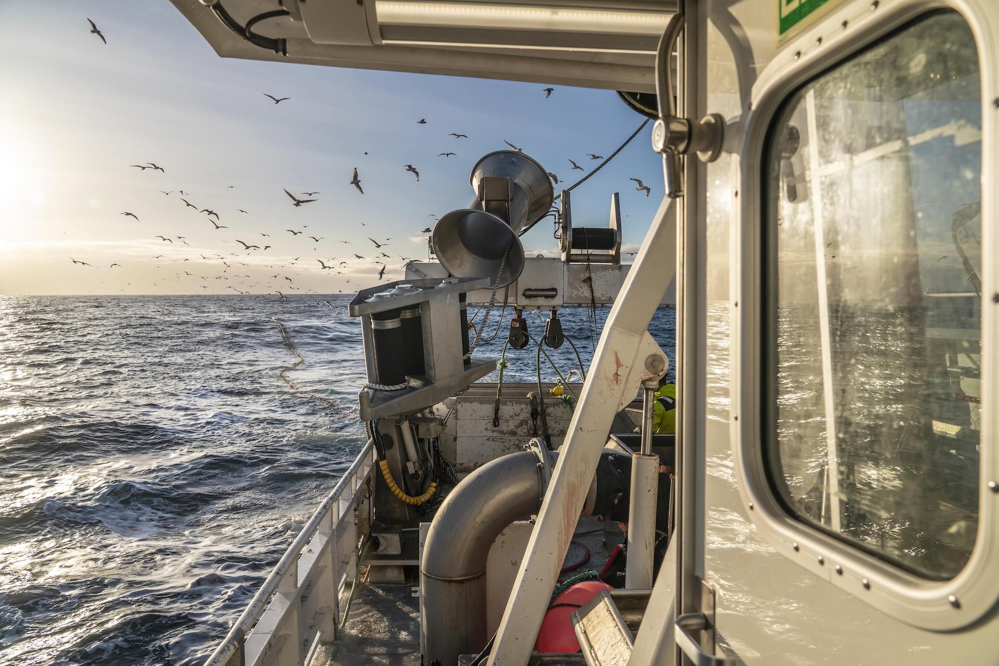 Pescando en el mar del norte en el pesquero Roar K