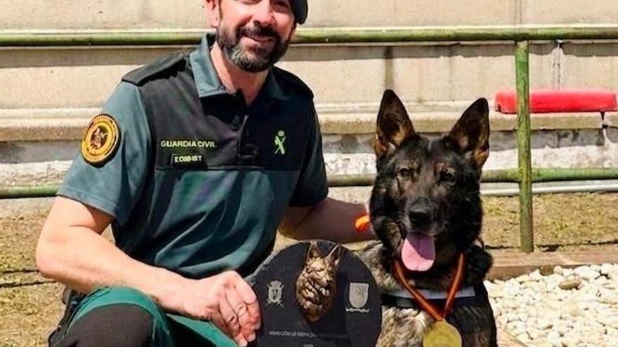 Liva, la perra policía que ha sido premiada como la mejor can operativa de España: estas son las habilidades que la hacen tan especial