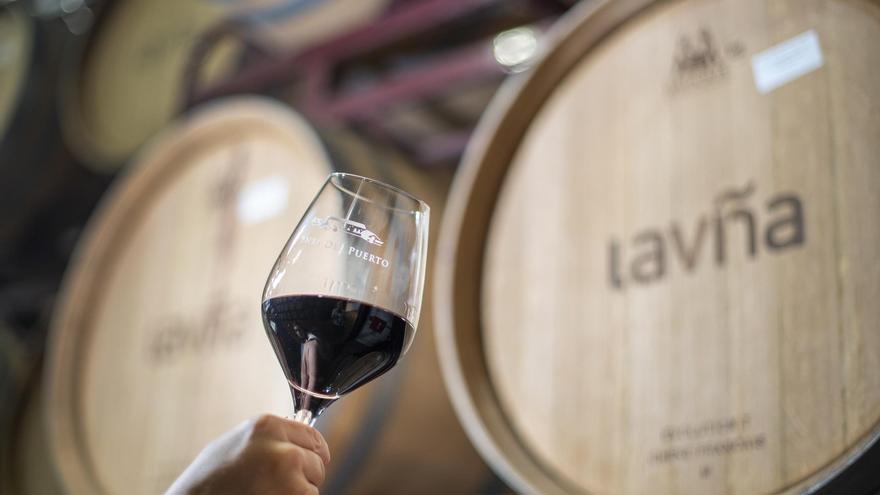 Producción de vinos sostenibles y con ADN cooperativista