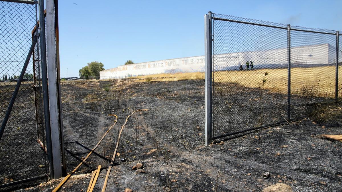 Incendio de pastos en un solar de El Fontanar de Córdoba.