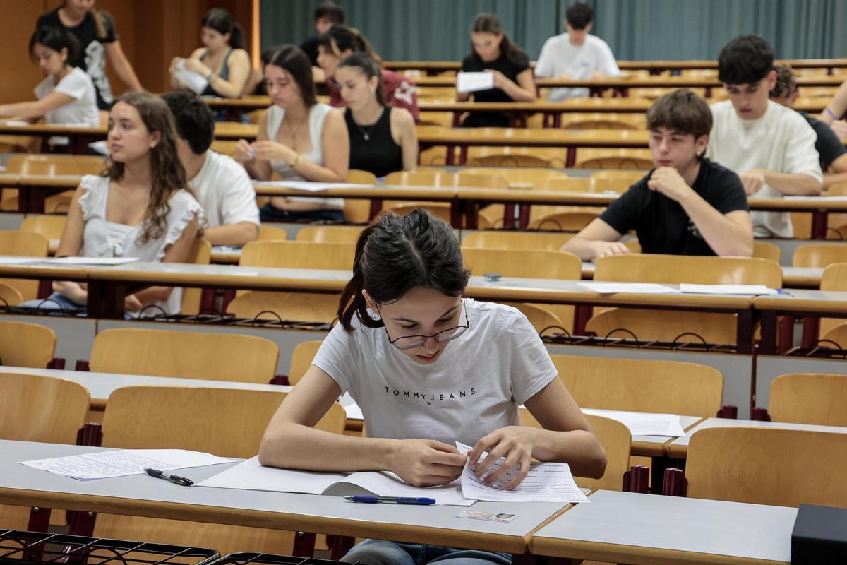 University access tests (PAU) in the UA