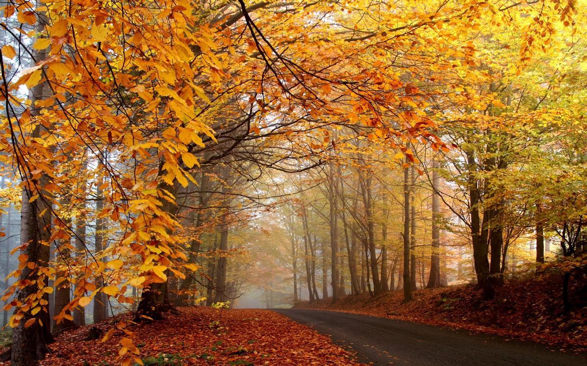 El otoño marca el fin de las temperaturas más extremas