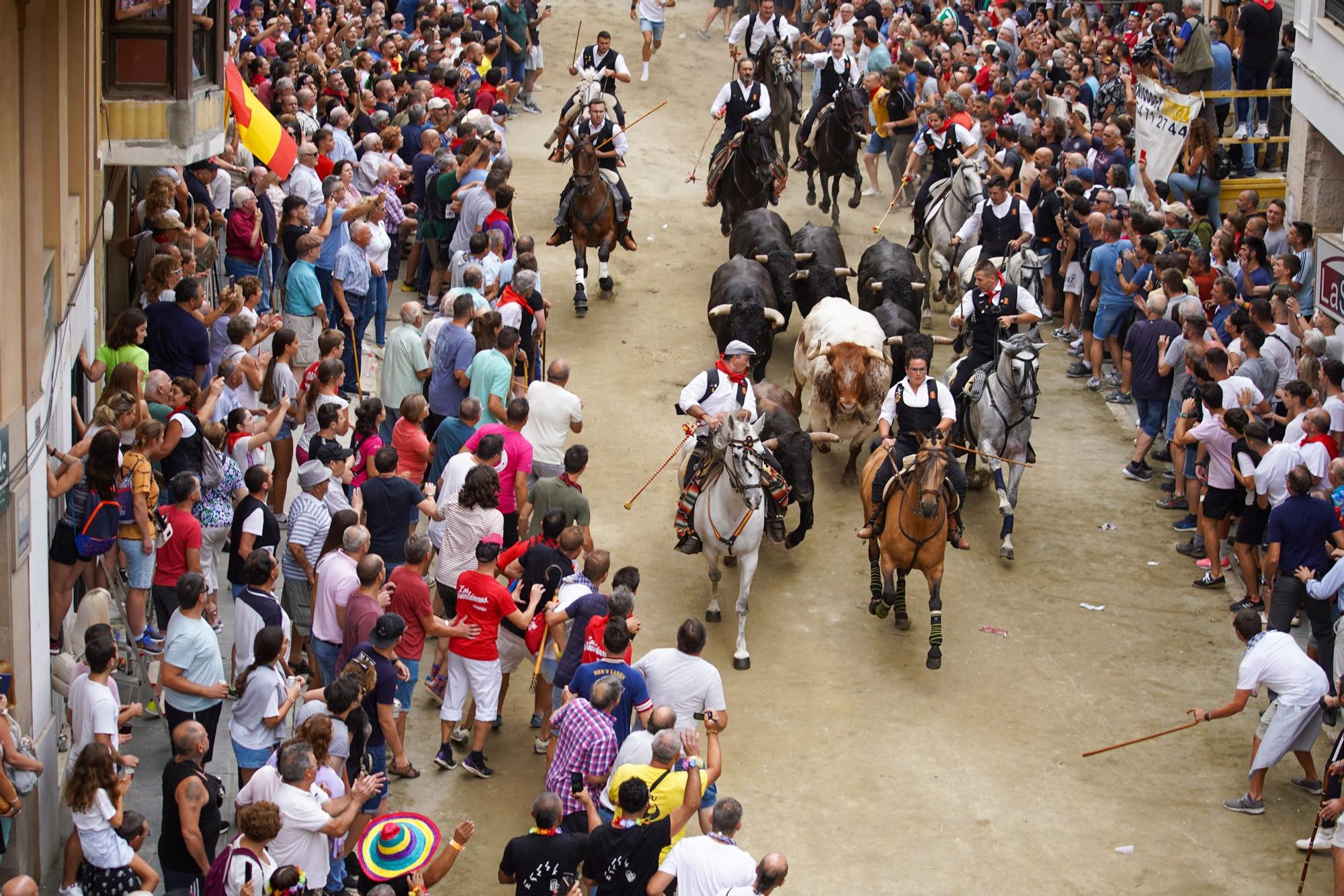 Primera entrada de caballos y toros de Segorbe