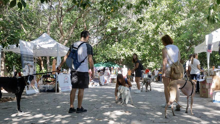 La Feria de los animales se traslada frente al tramo 10 del Jardín del Turia
