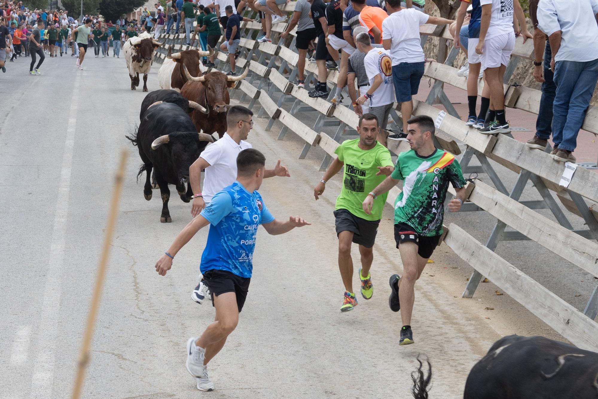 Tercer encierro de la Feria Taurina del Arroz en Calasparra