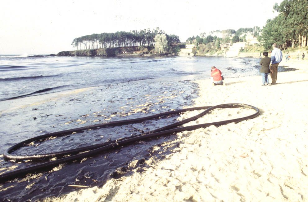 Secuelas de la marea negra provocada por el Mar Egeo Echave Fraga (3).jpg