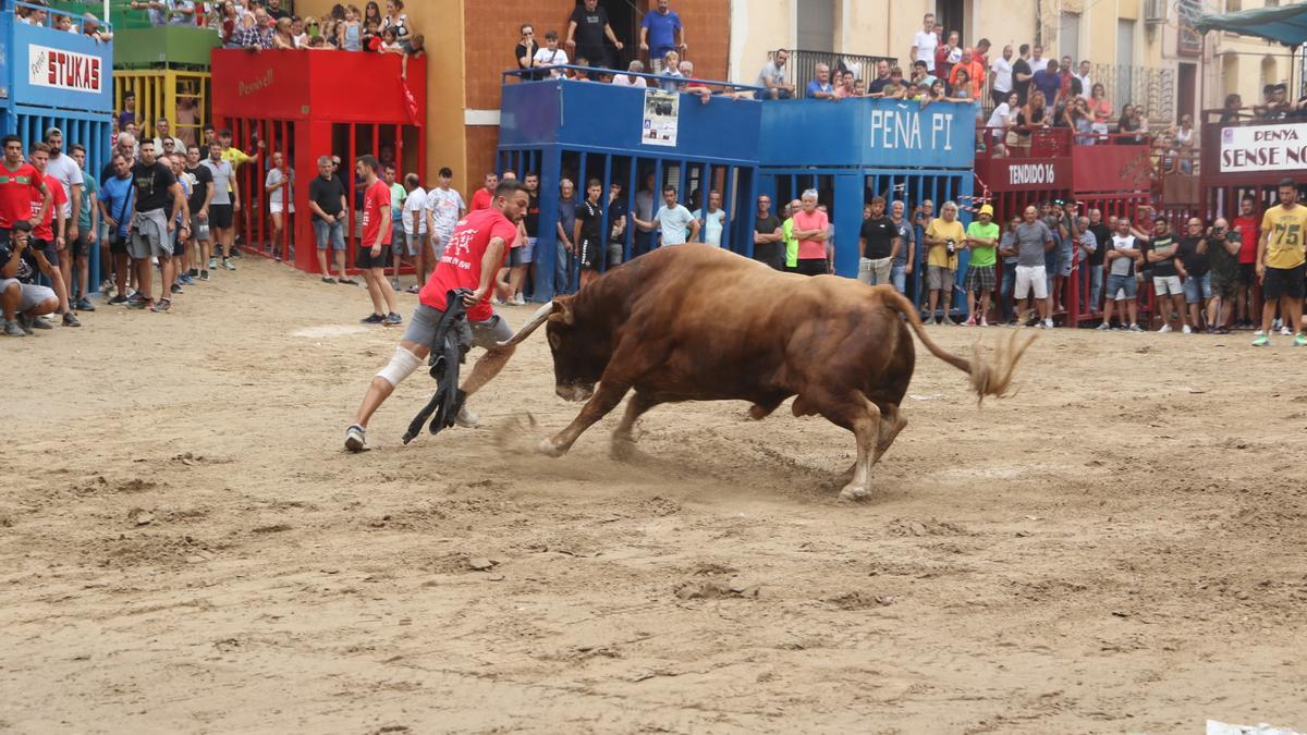 Un ‘rodaor’ corre delante del toro este verano en l'Alcora.
