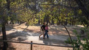 Els pins del castell de Montjuïc fan 62 anys