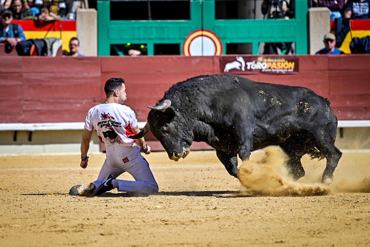 Concurso recortadores