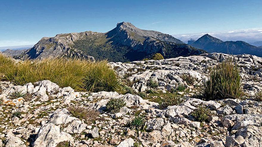 Schön zu sehen: Puig de Massanella (Mi.), Serra des Teixos (li.) und Puig de n&#039;Alí (re.).