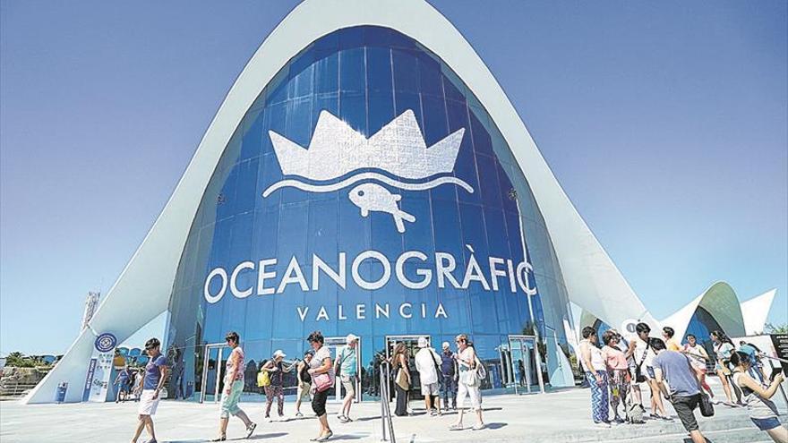 El Oceanogràfic recibe 1,5 millones de visitantes en 2019 y bate su récord