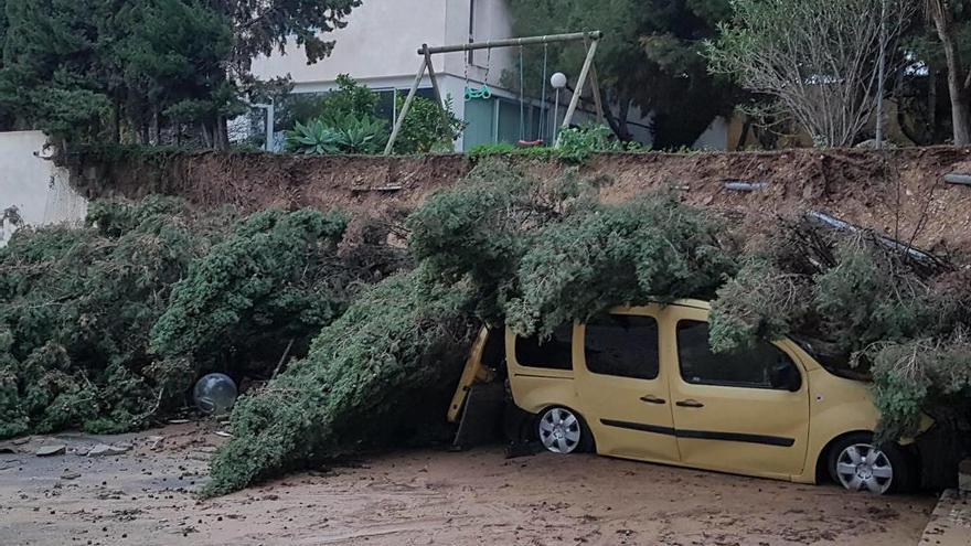 Un vehículo aplastado por unos árboles en Sant Joan