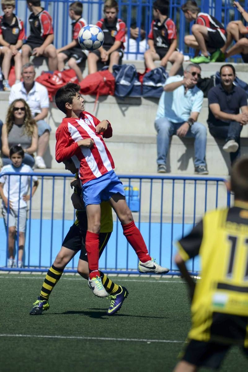 FÚTBOL: Tauste A - Teruel A (Alevín)