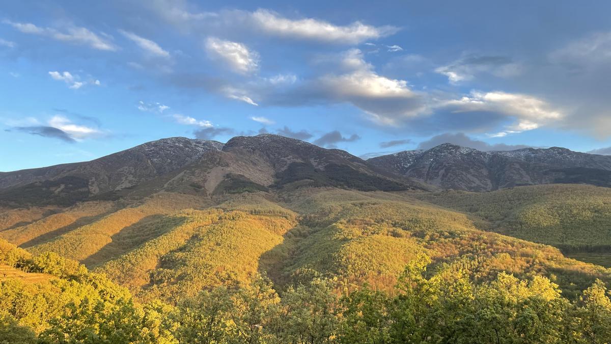 Sendero al Pinajarro,