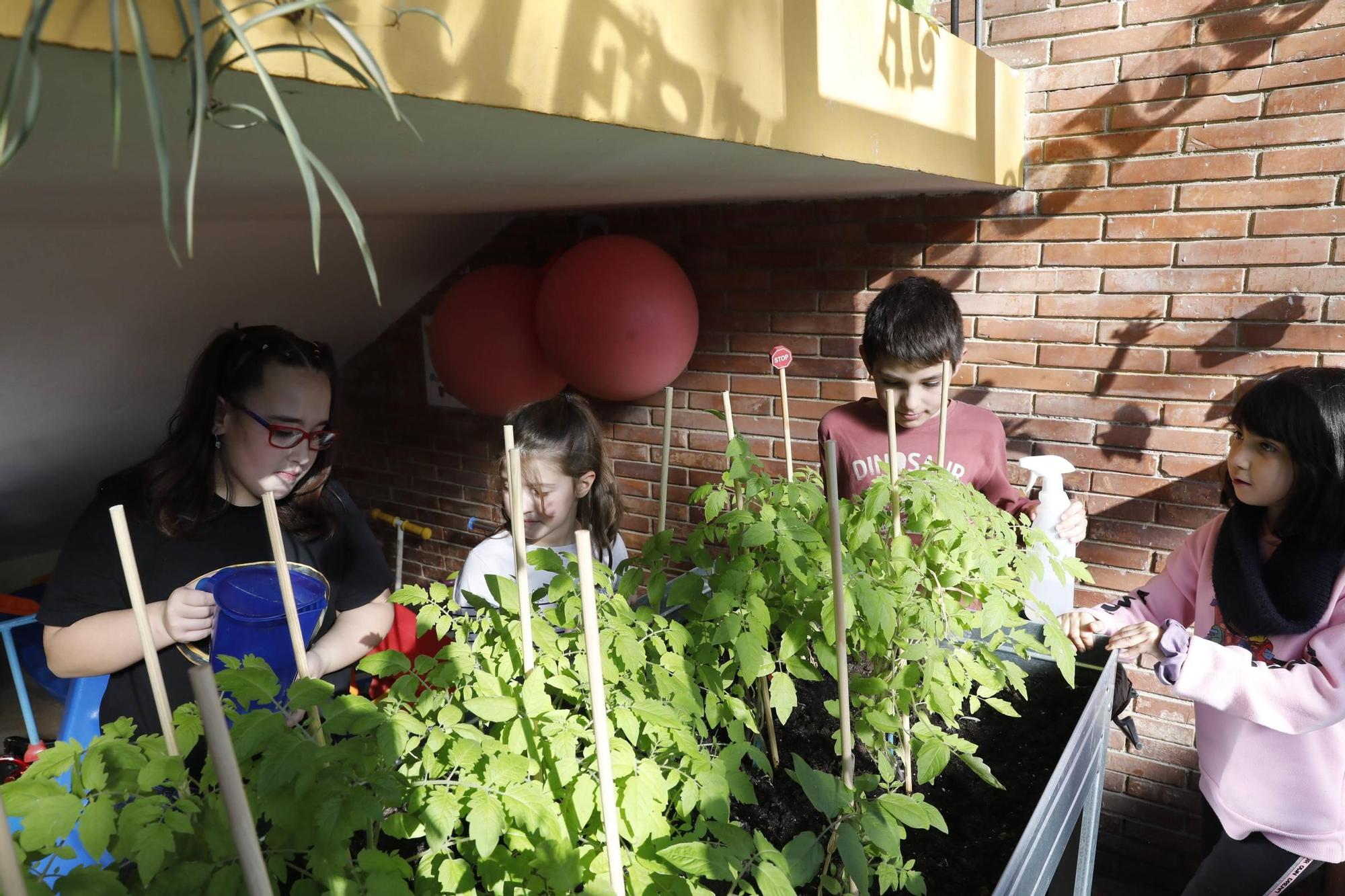 EN IMÁGENES: La serie "Los lunes, al cole" visita Tudela Veguín