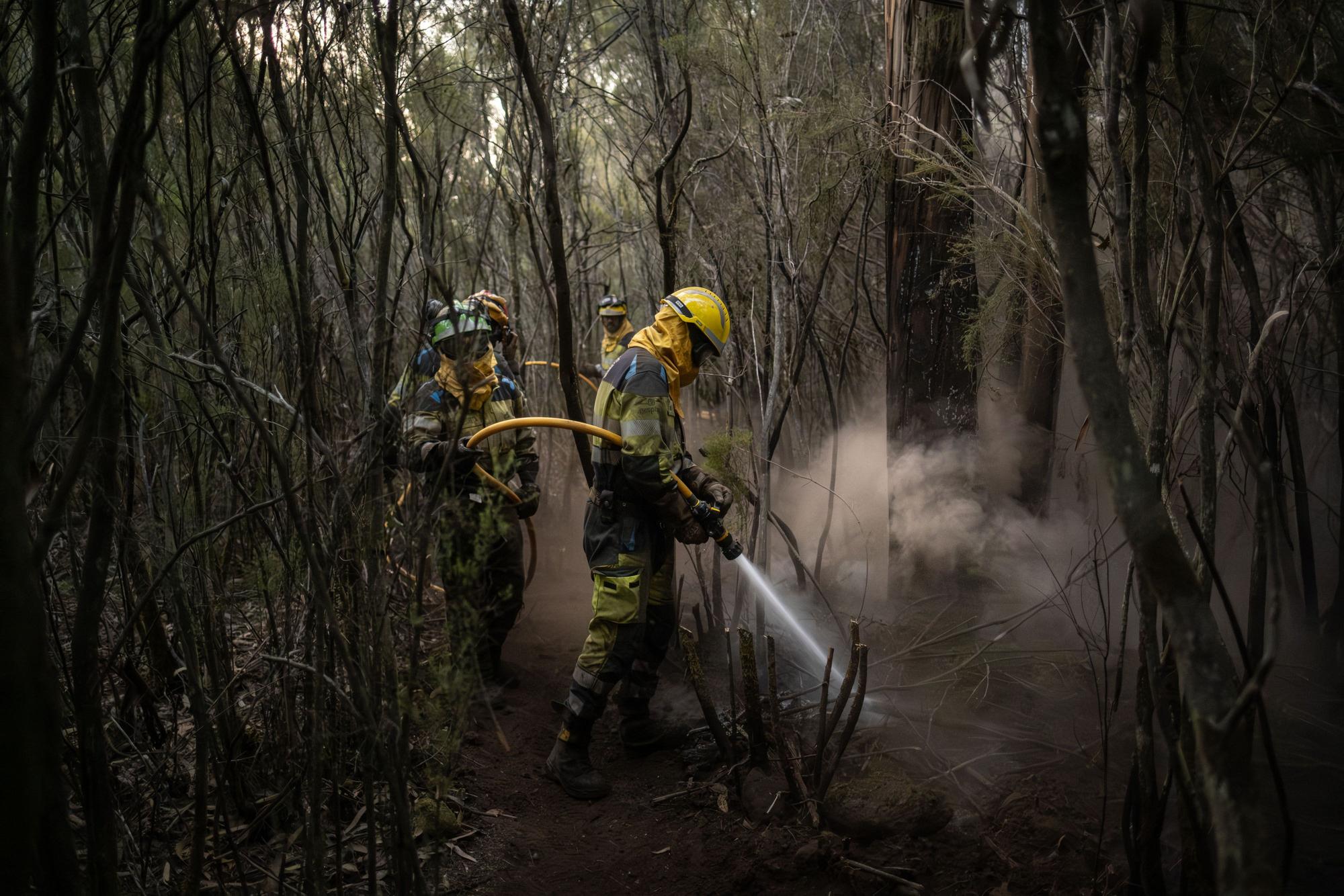 Labores de enfriamiento en Ravelo del incendio de Tenerife