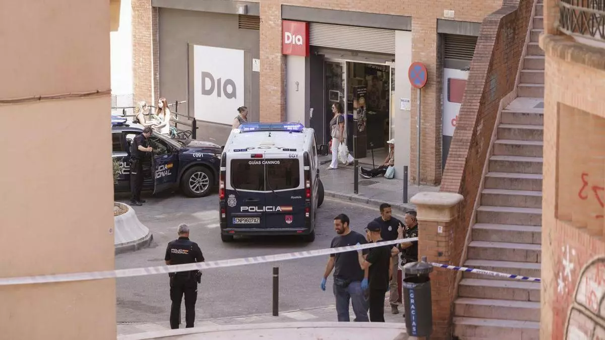 El Gobierno anuncia un refuerzo de la Policía Nacional en Málaga tras los últimos tiroteos
