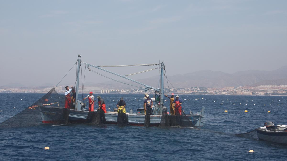 Pescadores en la costa de Mazarrón lanzan las redes