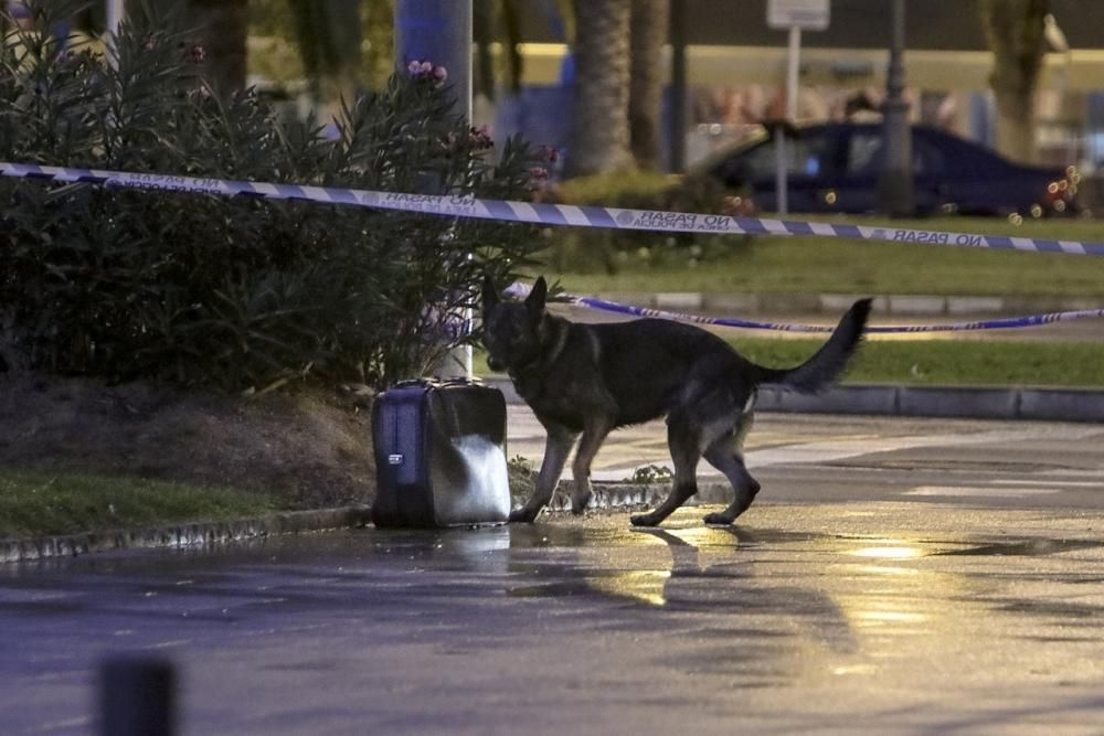 Am Sonntagnachmittag (13.11.) sperrte die Guardia Civil auf Mallorca Palmas Paseo Marítimo, um einen herrenlosen Koffer auf mögliche Sprengsätze zu prüfen. Ein speziell ausgebildeter Polizeihund näher