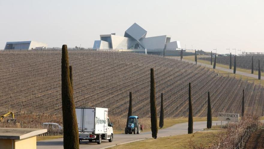 Campos de vid que rodean a las bodegas de Sommos, cerca de Barbastro.