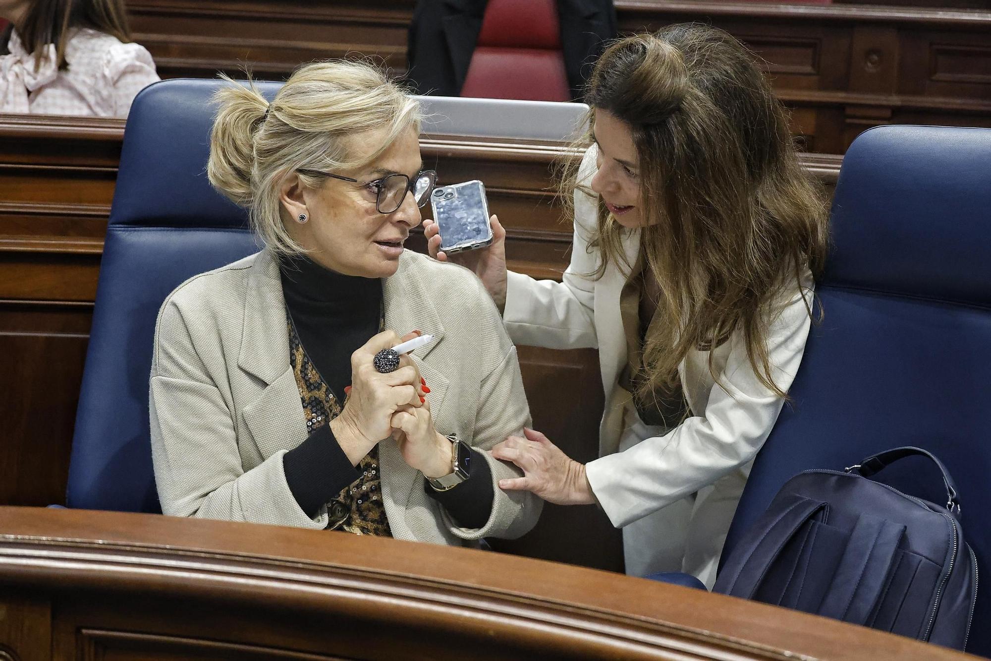 Pleno del Parlamento (08/04)