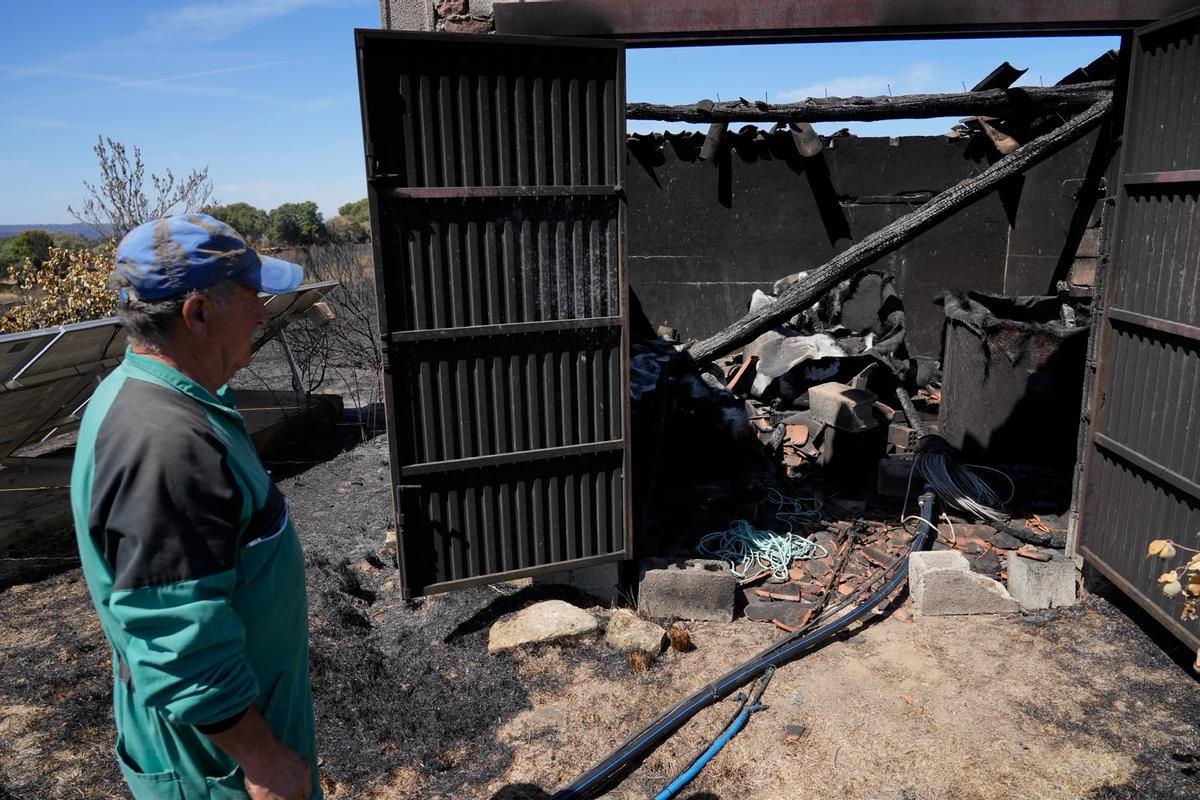 GALERÍA | El paso del fuego por Mámoles arrasa la explotación de Alfredo Fernándes