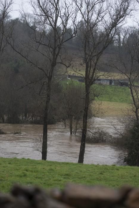 Las inundaciones en El Requexón