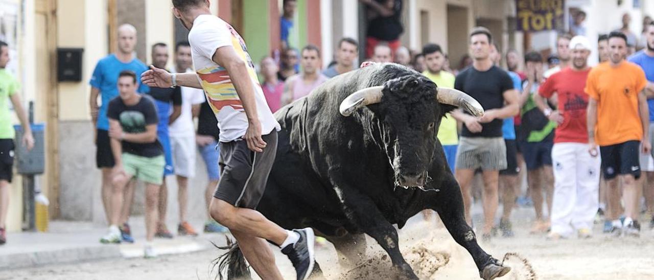 La Peña Taurina de Albalat ofrece un gran cartel