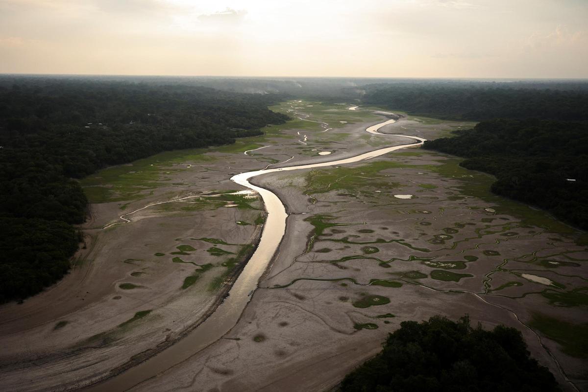 La històrica sequera extrema provoca estralls als rius de l’Amazònia