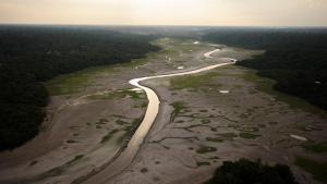 Image aérea del río navegable Solimoes, en la Amazonia, muy afectado por la sequía extrema que vive la región.