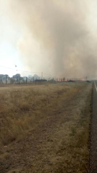 Fuego en Figueruela