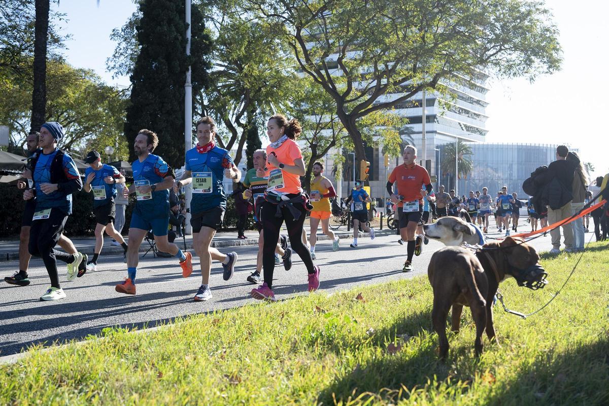 Así ha sido la Media Maratón de Barcelona 2024. Búscate en las fotos