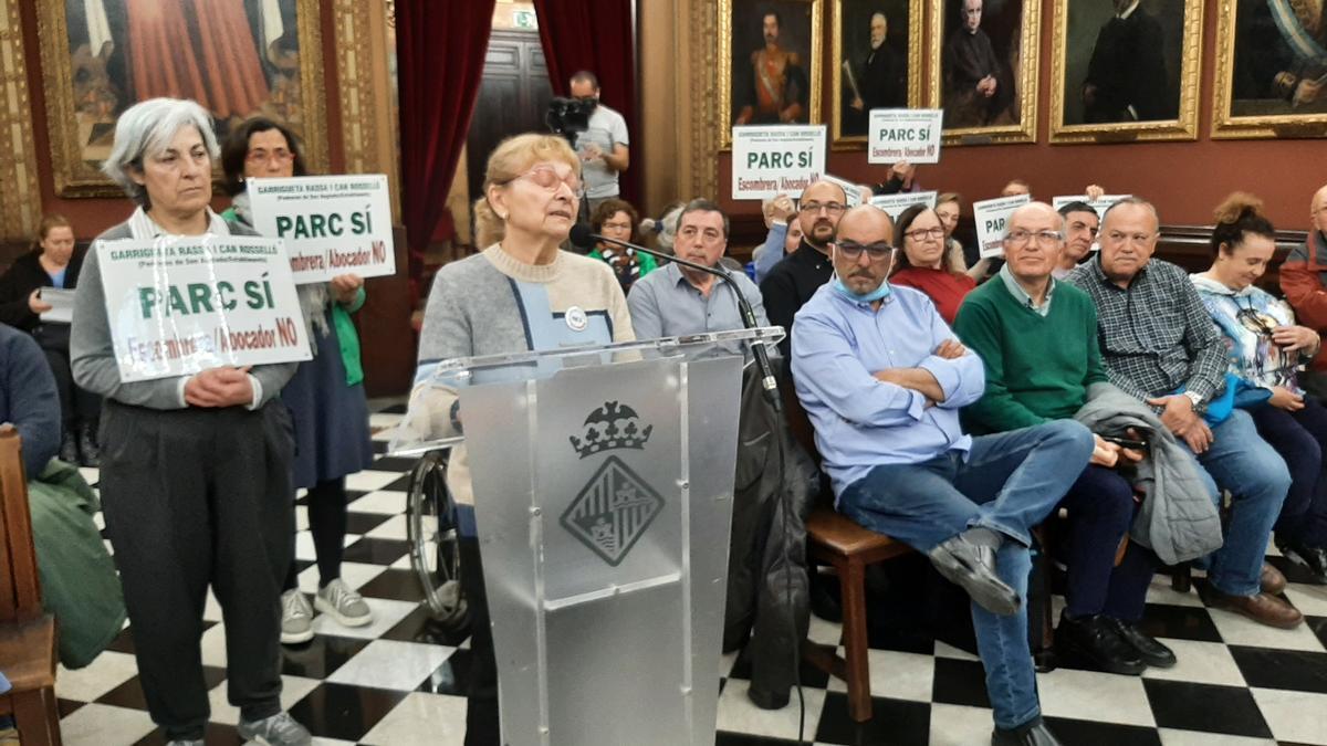 Maribel Alcázar en su intervención ante el pleno de esta mañana.