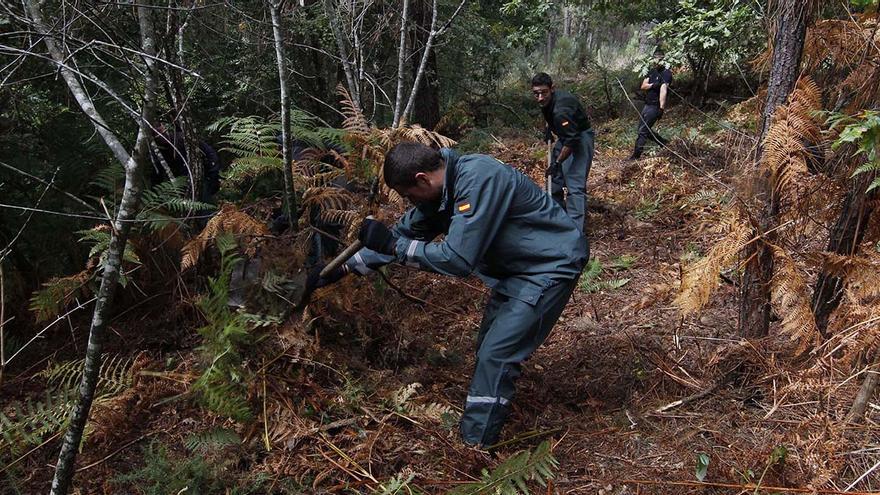 Dos agentes buscando en un monte de A Cañiza