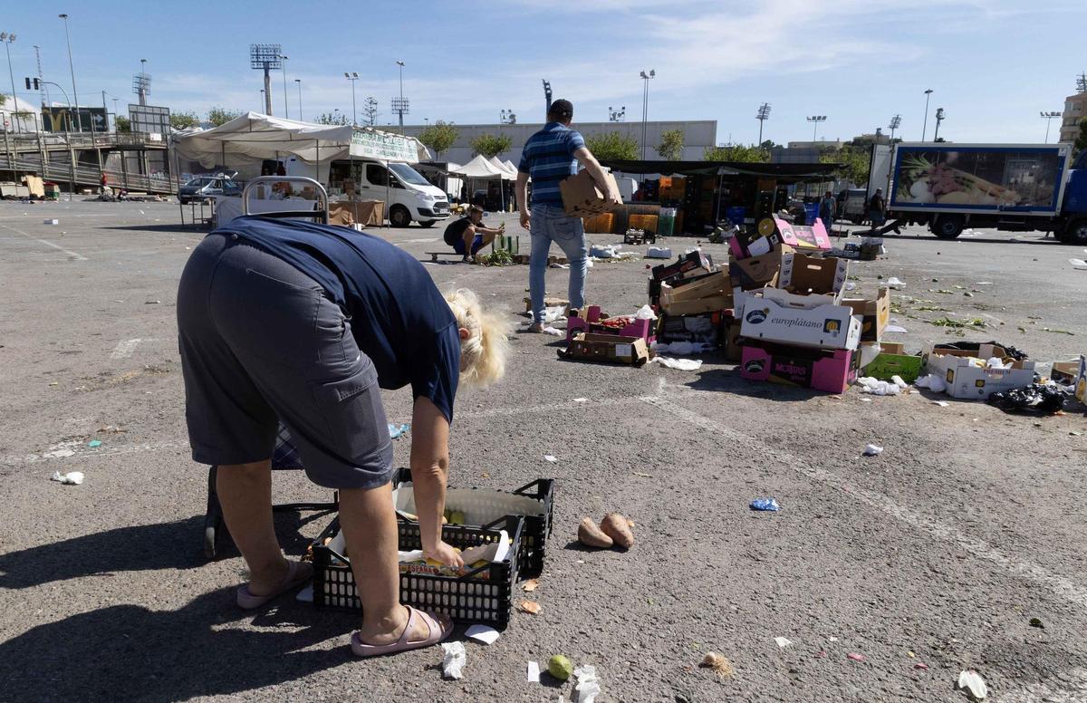 _MGL6547.jpg _MGL6547.jpg