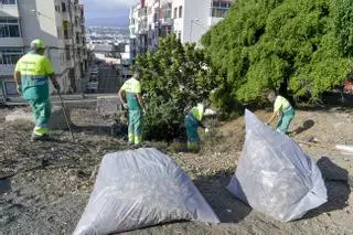 El plan municipal de limpieza retira 24 toneladas de basura de tres barrios