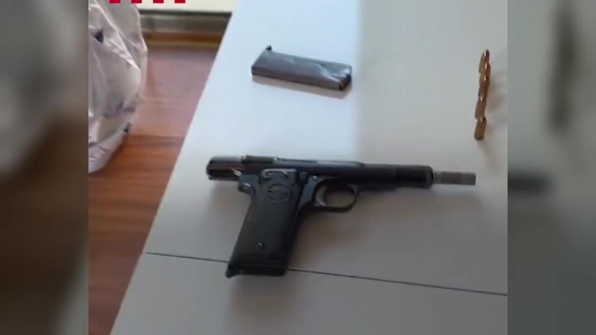 Vídeo | Un xalet de luxe ocupat a Tarragona amagava una gran plantació de marihuana