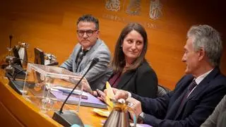 ¿Quién está obligado a declarar en la comisión de investigación de Les Naus en las Cortes?