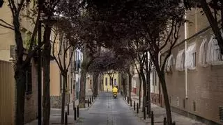 Así es pequeño y escondido barrio de inspiración inglesa de Zaragoza: chalés con jardín a 10 minutos del Casco Histórico
