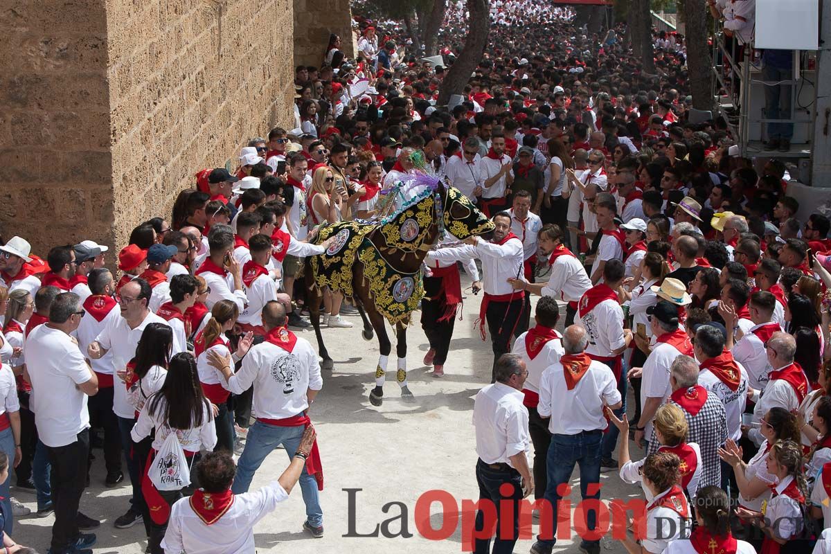 Así ha sido la carrera de los Caballos del Vino en Caravaca