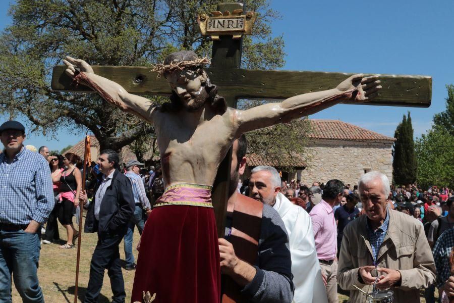 Romería de Valderrey en Zamora