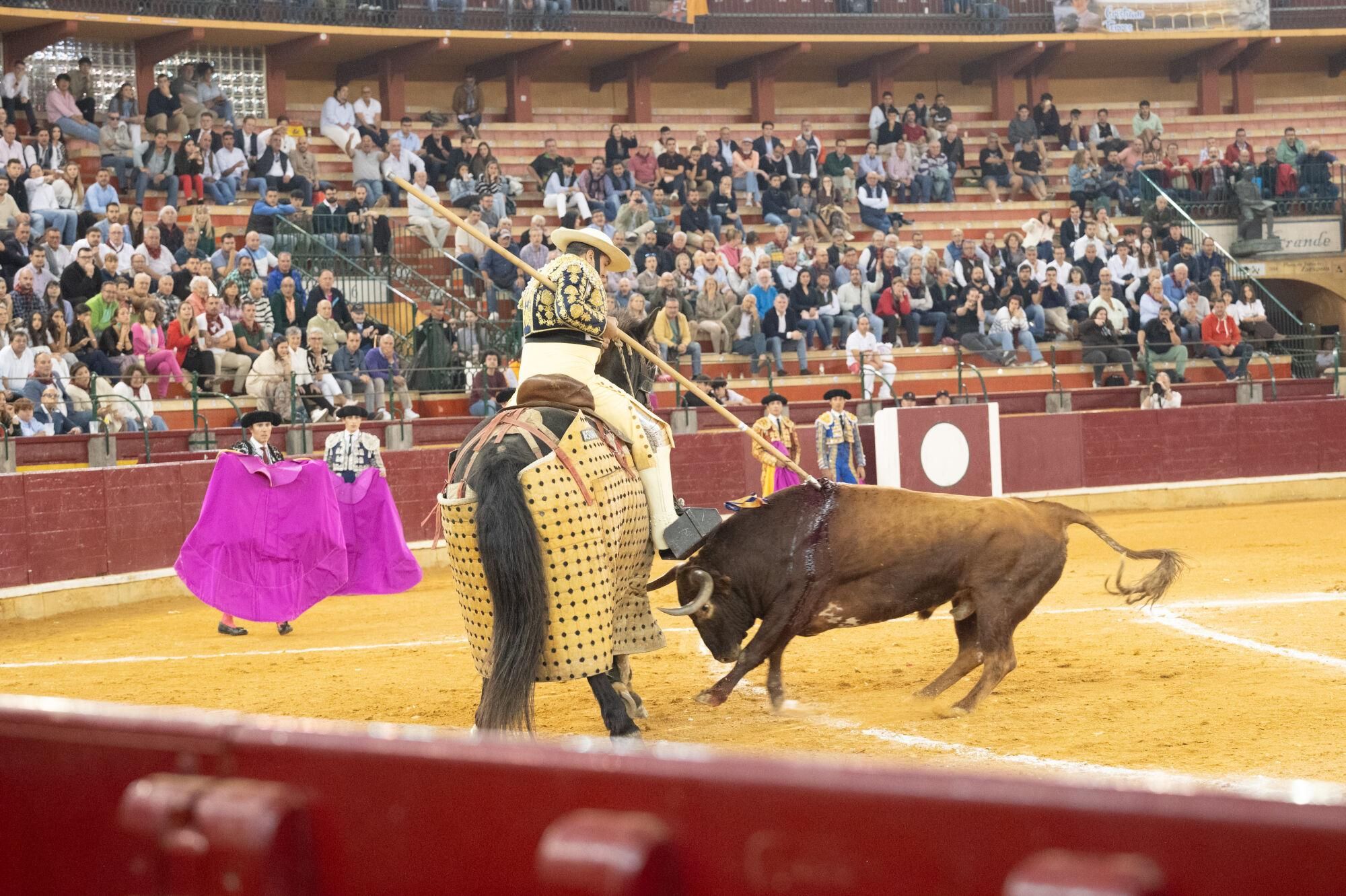 Concurso de ganaderías de la Feria del Pilar