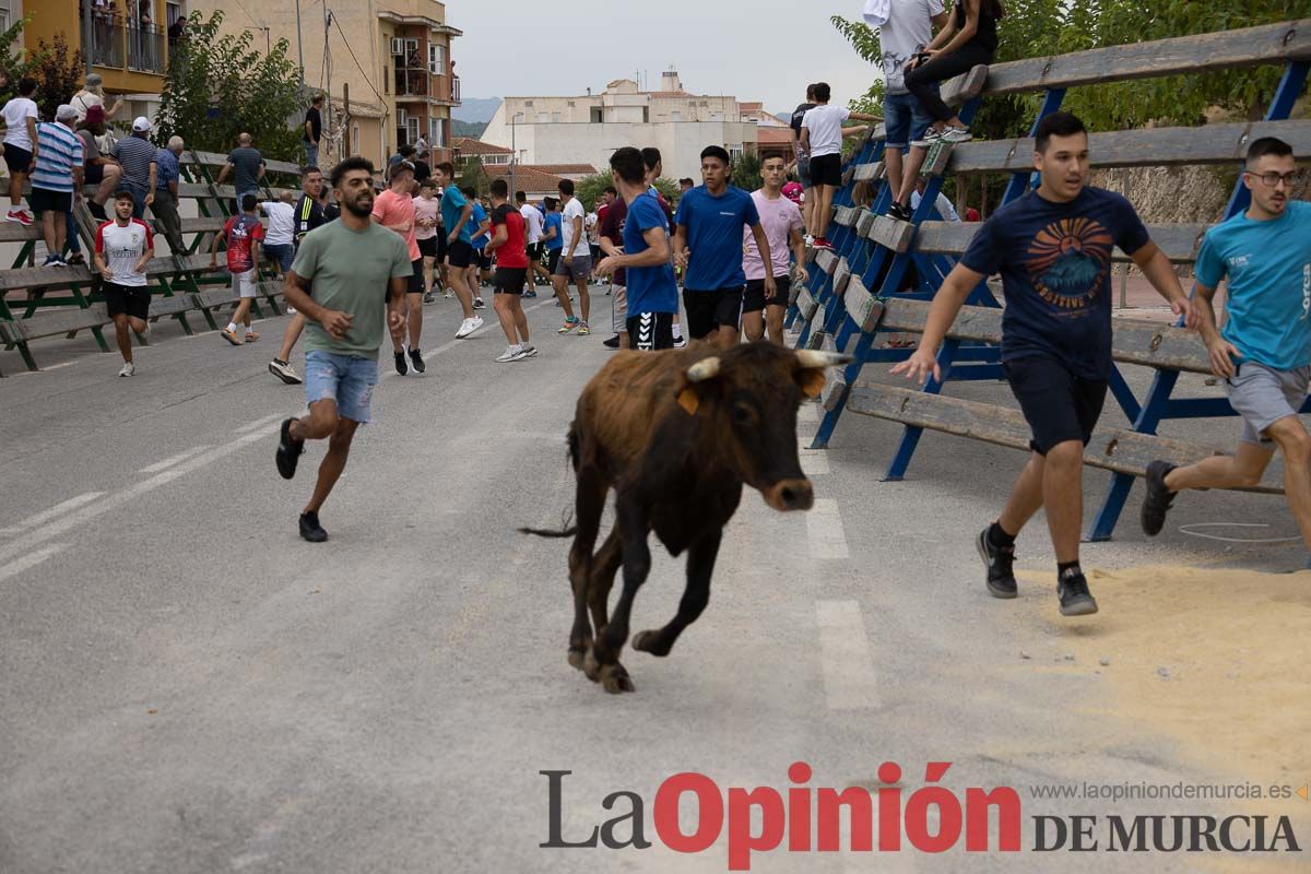 Chupinazo y encierro chico en Calasparra