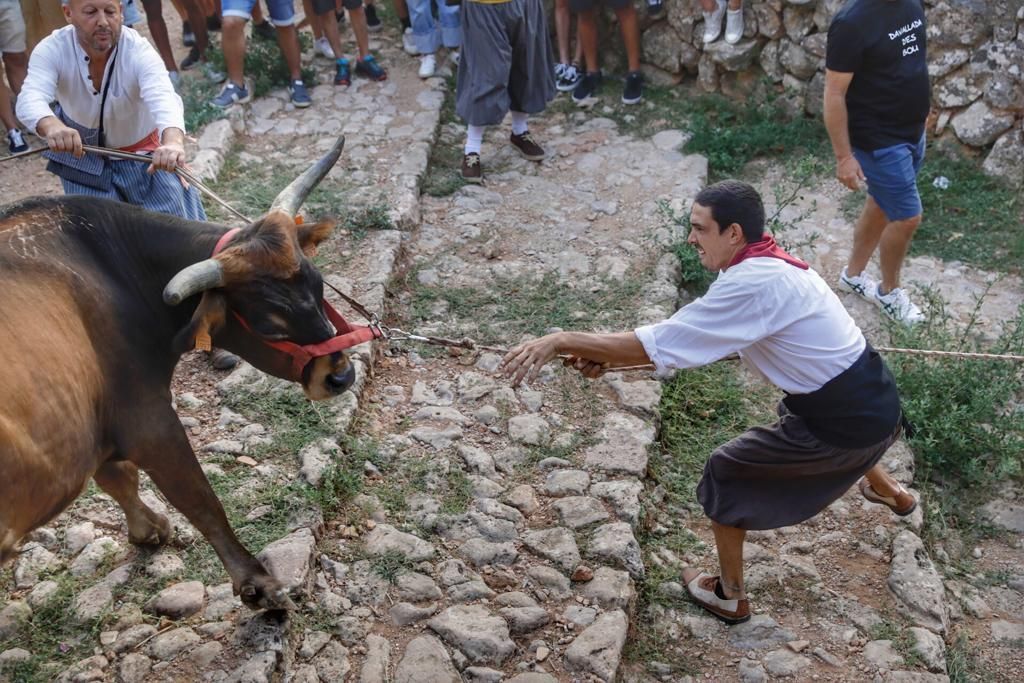 So sah es beim ersten Stierlauf in Fornalutx auf Mallorca nach Corona aus