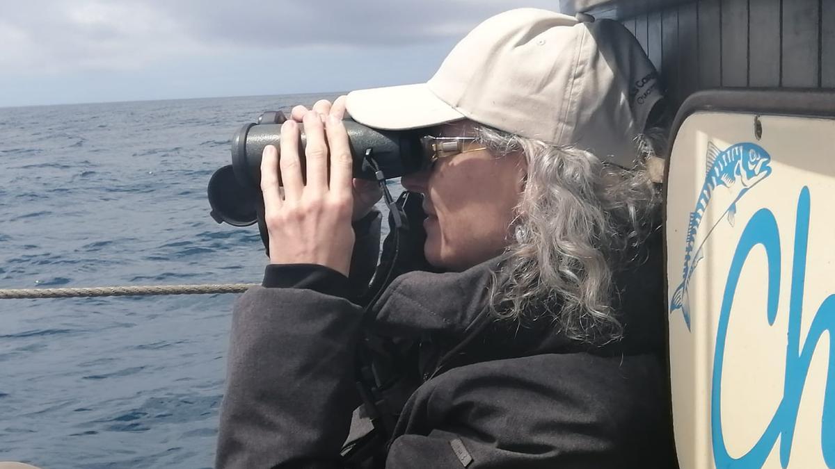 Observación de aves en el barco &quot;Chasula&quot;.