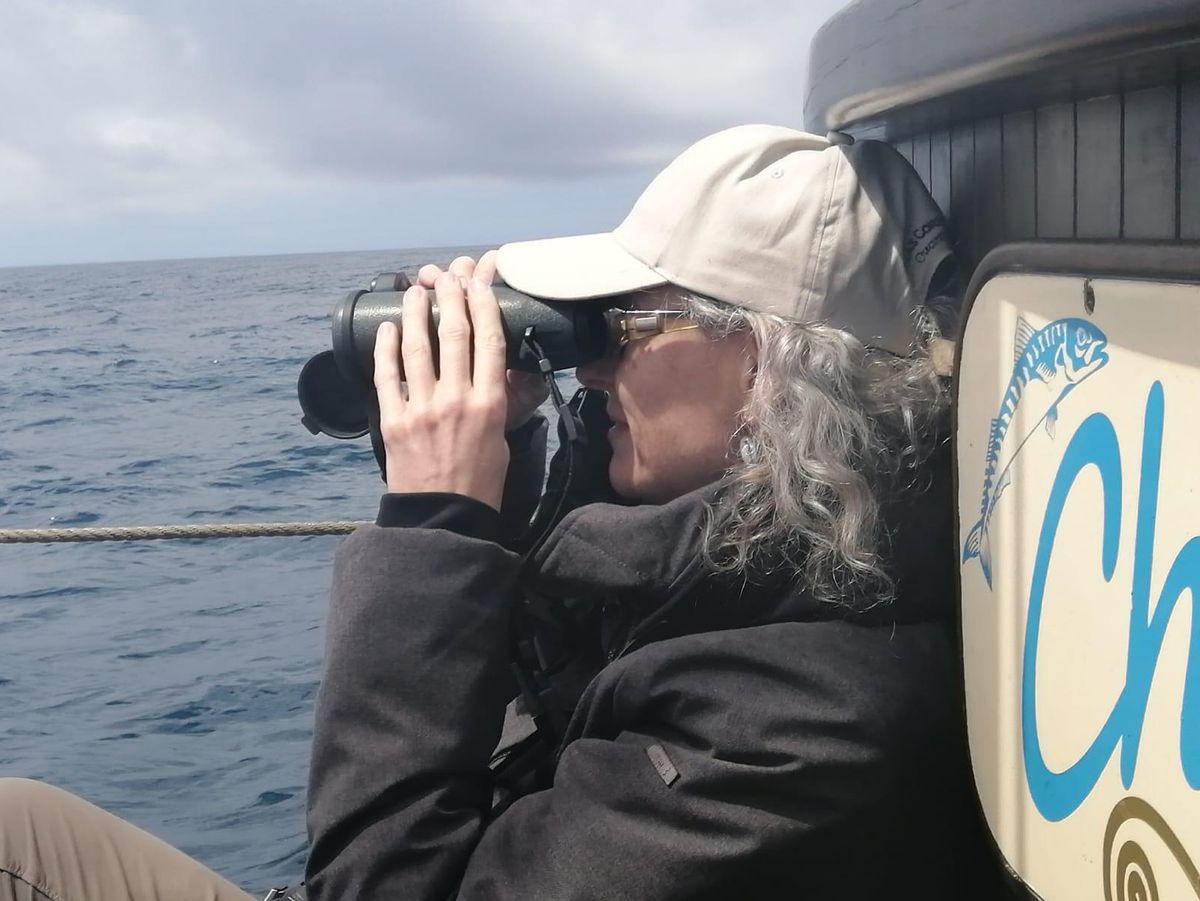 Observación de aves en el barco "Chasula".