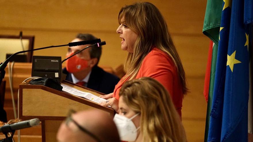 Las imágenes de la moción de censura en el Ayuntamiento de Torremolinos