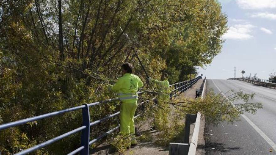 Dos operarios podan las ramas de los árboles que invaden la acera del viaducto de la Ventosa.